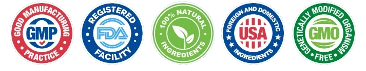 Neuro Memory Premium Quality Manufacturing Standard